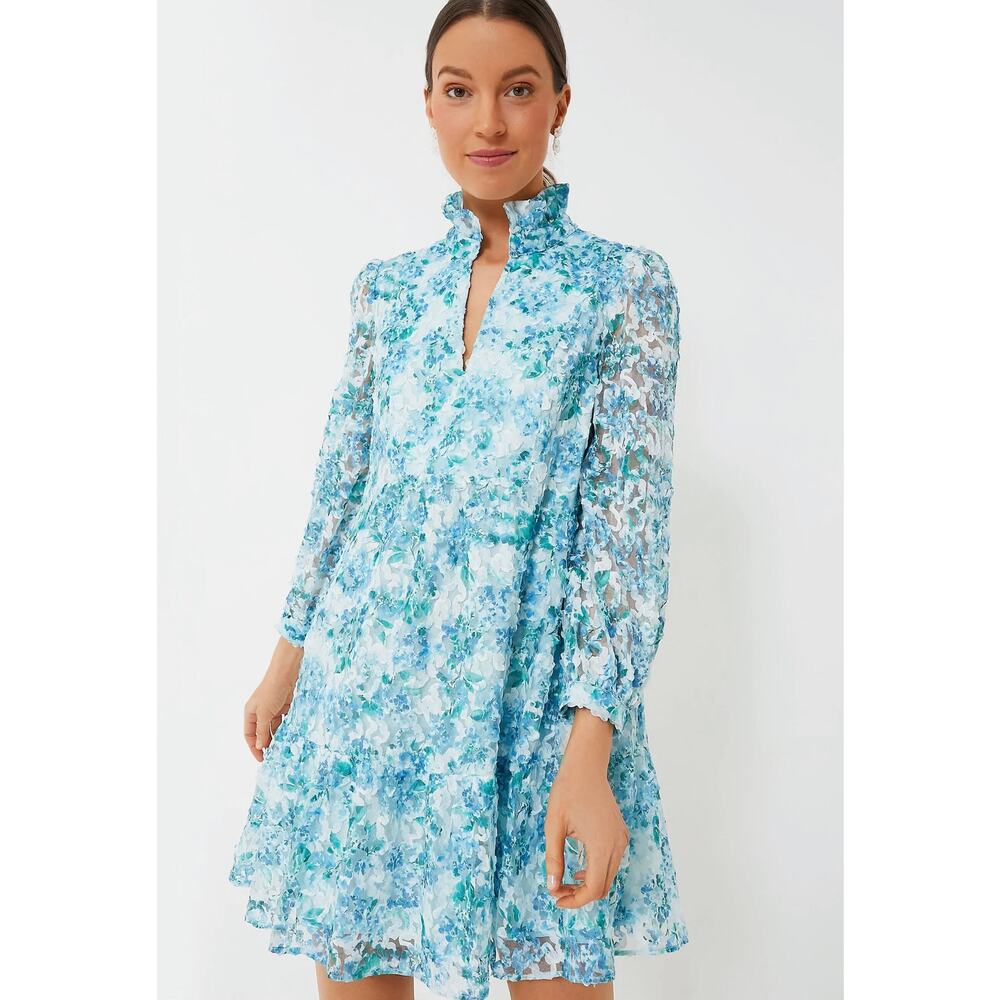 Tuckernuck dress